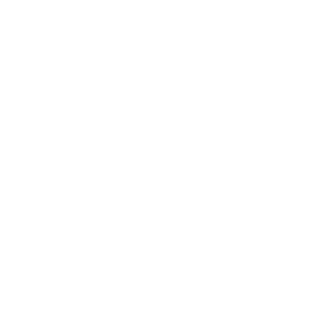 E9 Contabilidade Logo Branco